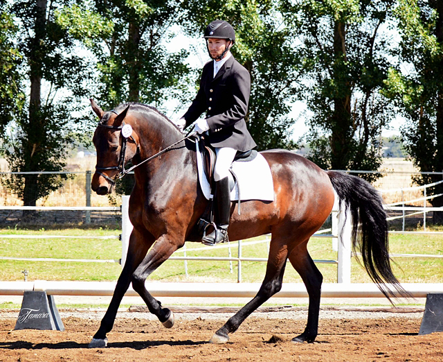 Alejandro and Kirin Dressage Classic 1