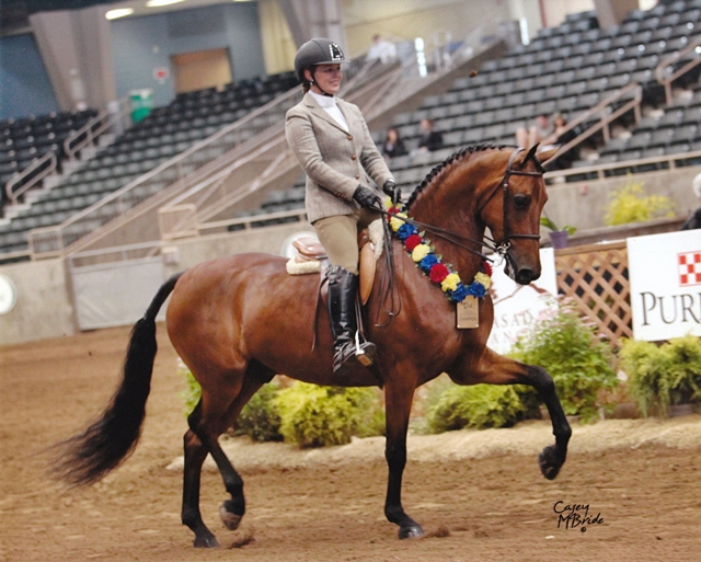 Merriewold JS Bach Far West Jr Champion