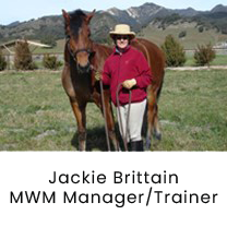 JAB MWM Manager Trainerv2png