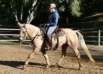Starting under saddle